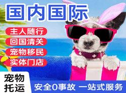 南阳姜营航空运输国际宠物托运 【国